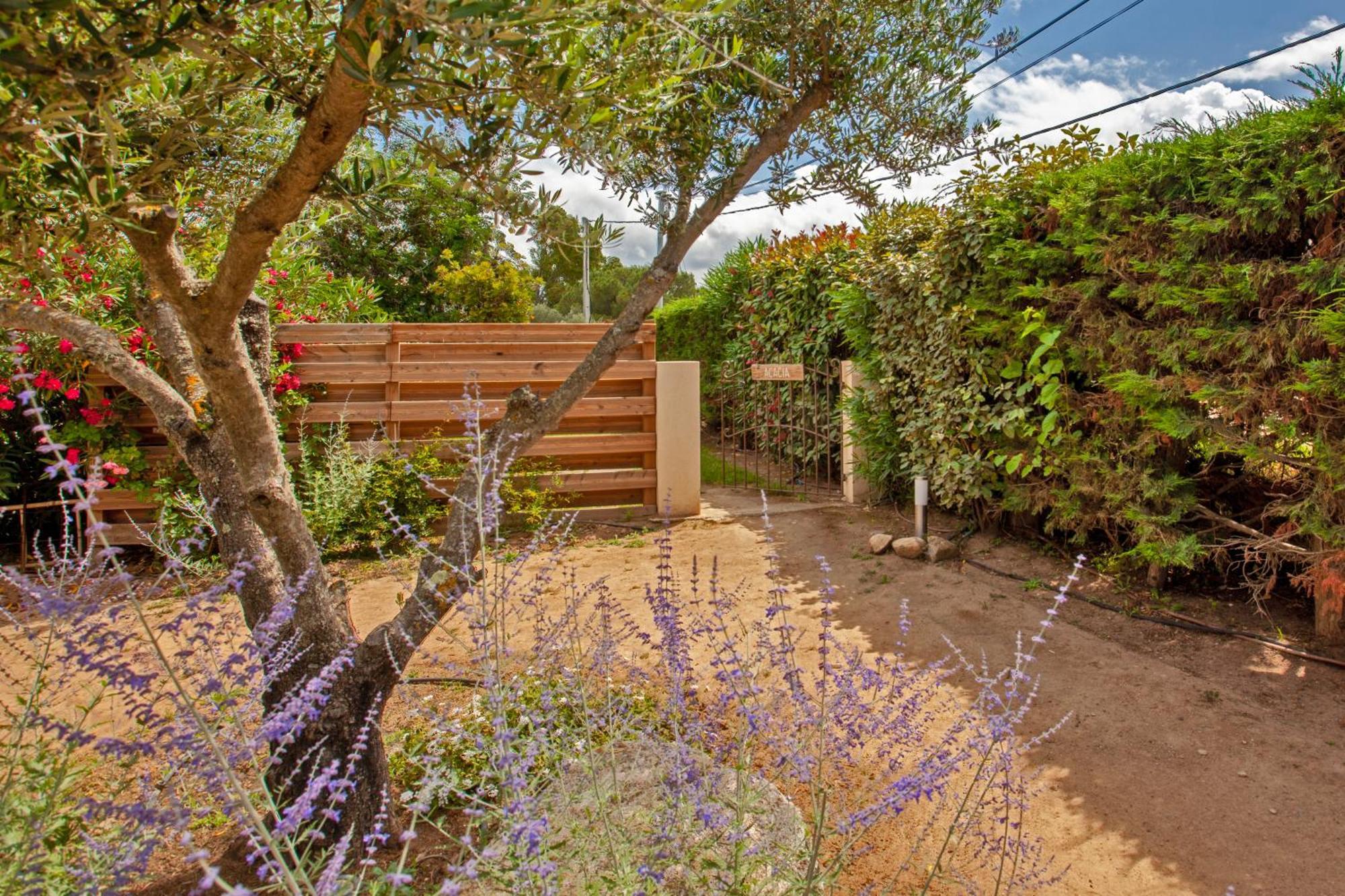 Résidence Acquavital Calvi  Exterior foto