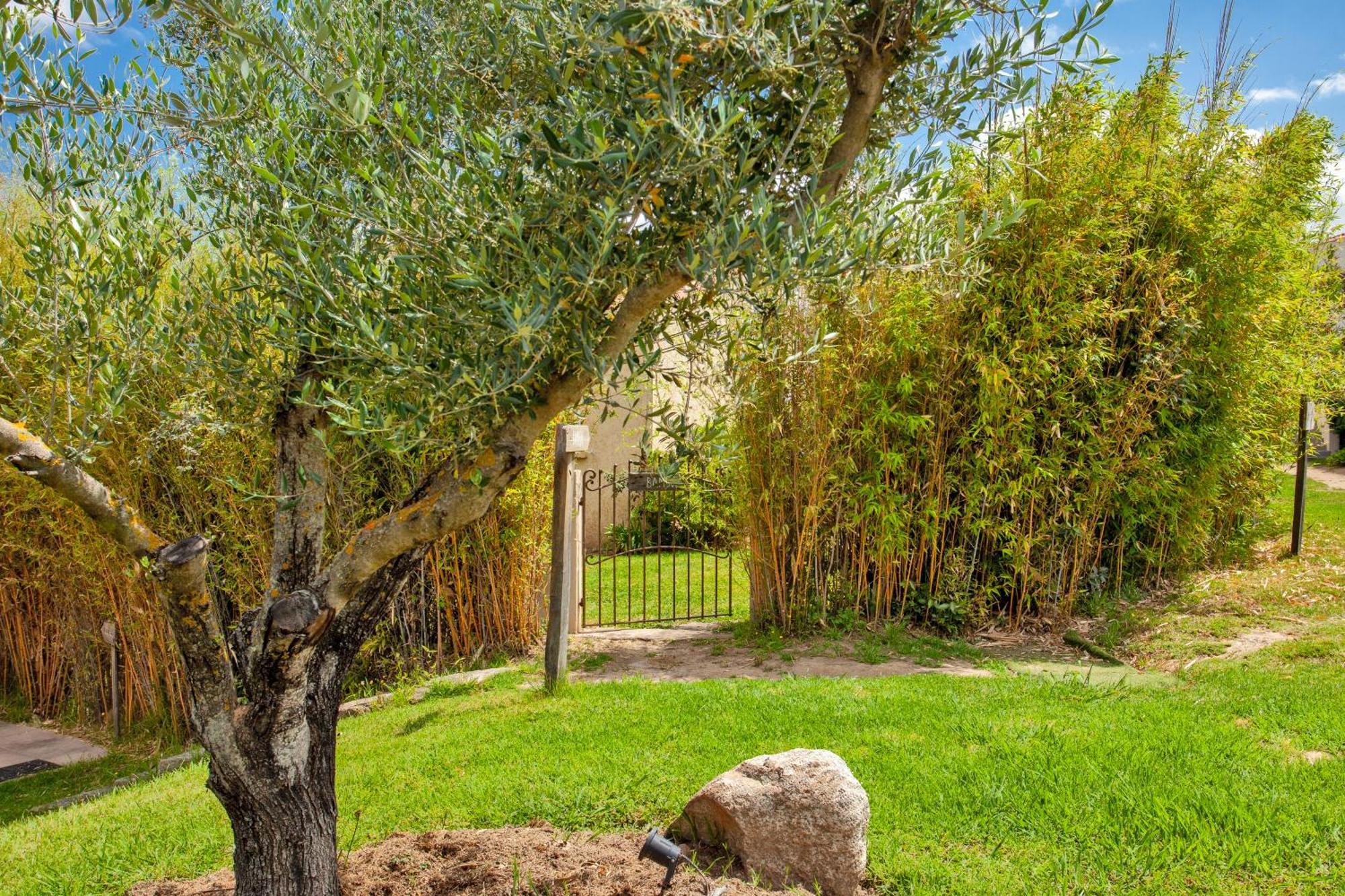 Résidence Acquavital Calvi  Exterior foto
